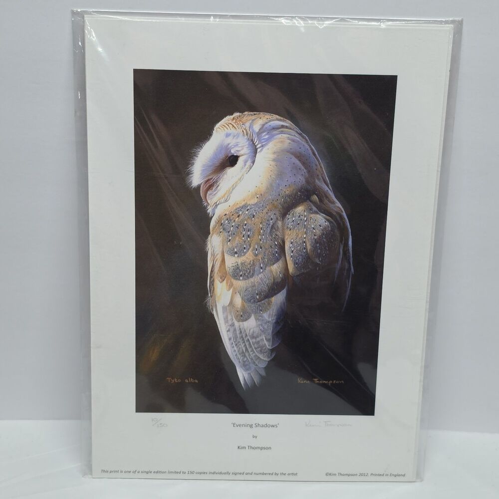 Evening Shadows Owl Limited Art Print By Kim Thompson England 10/150 Signed